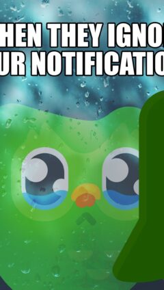 Duolingo Bird Meme