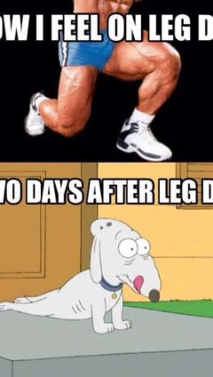 Leg Day Meme