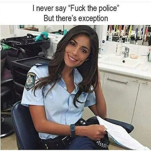 Police Officer Meme