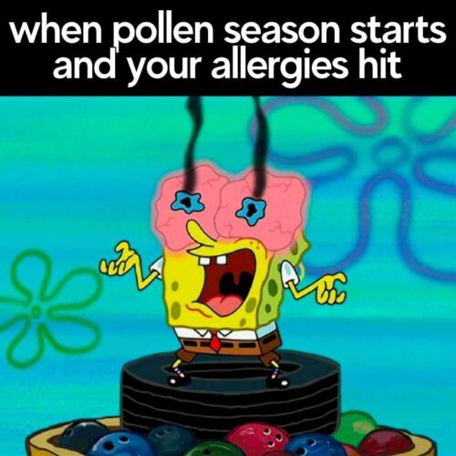 Pollen Meme