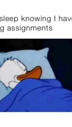 Sleeping Meme