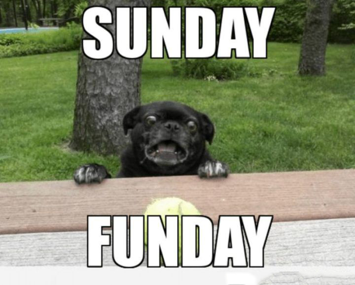 Sunday Funday Meme - VoBss