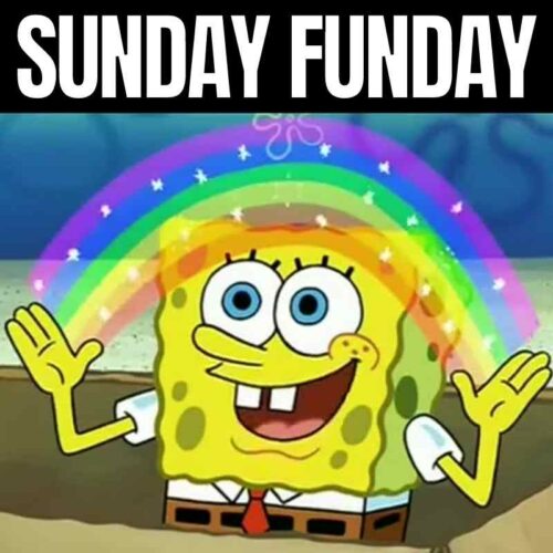 Sunday Funday Meme