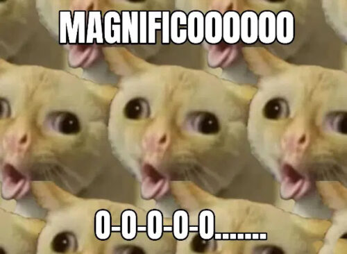 Coughing Cat Meme