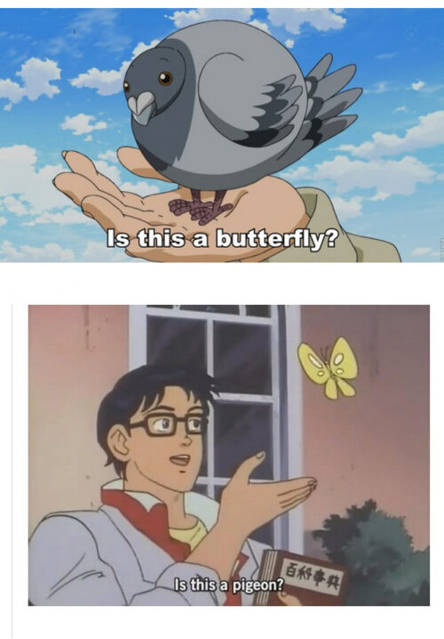 Is This A Butterfly Meme