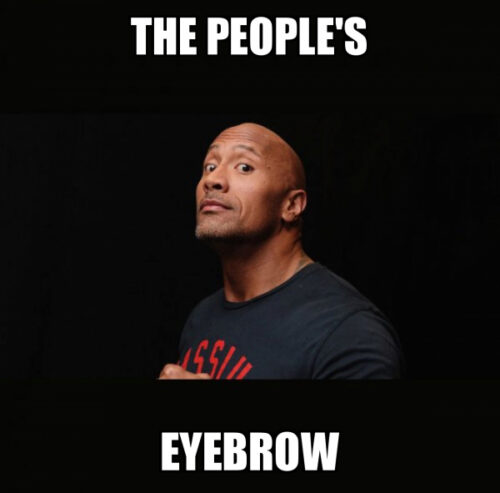Rock Eyebrow Meme