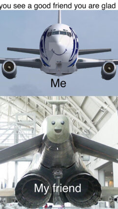 Turbulence Meme
