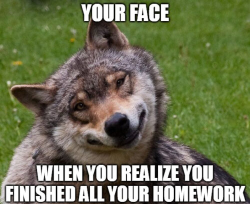 Wolf Meme