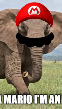 Elephant Mario Meme