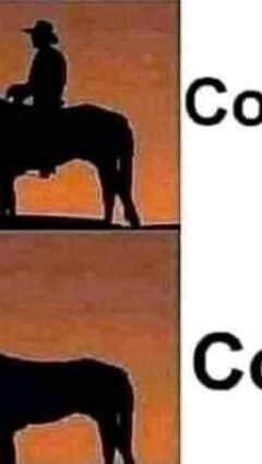 Man Horse Meme