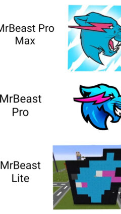 Mr Beast Meme